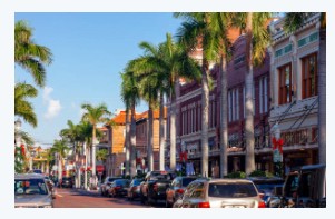 A residential street with houses and palm trees in Fort Myers.